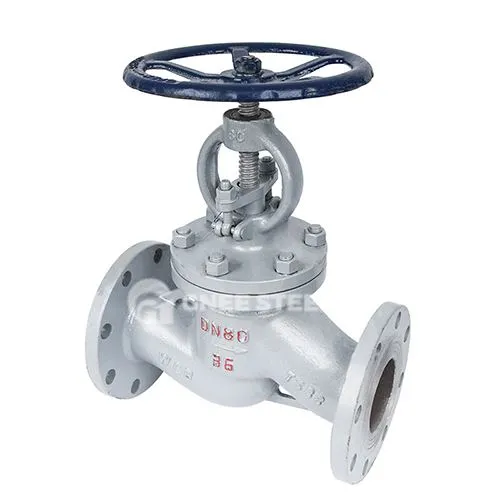 Válvula do globo da caldeira