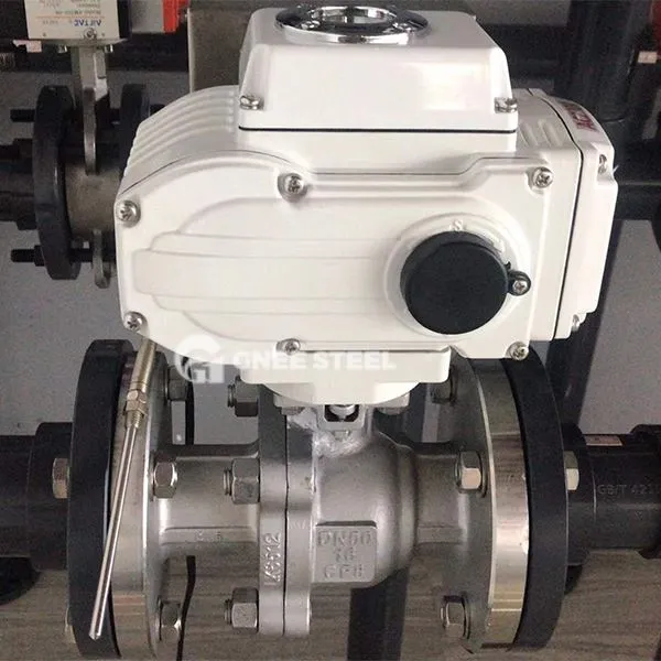 Válvula de retenção elétrica