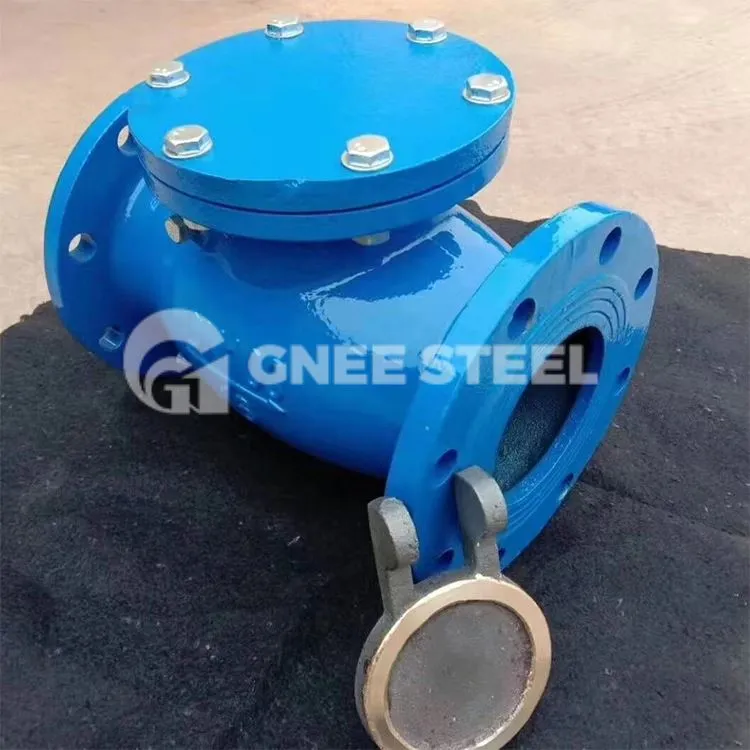 Válvulas de retenção de giro de porta completa