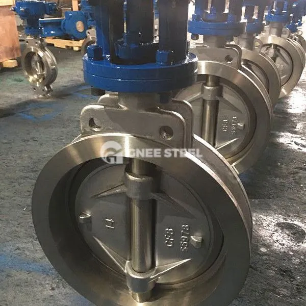 Borboleta excêntrica única