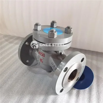 Válvula de retenção de elevação horizontal